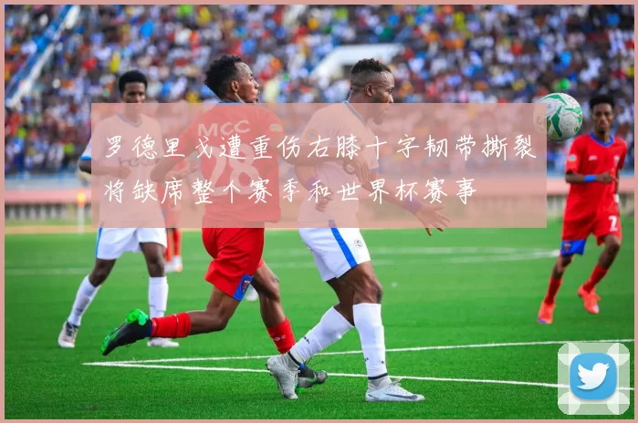 罗德里戈遭重伤右膝十字韧带撕裂将缺席整个赛季和世界杯赛事